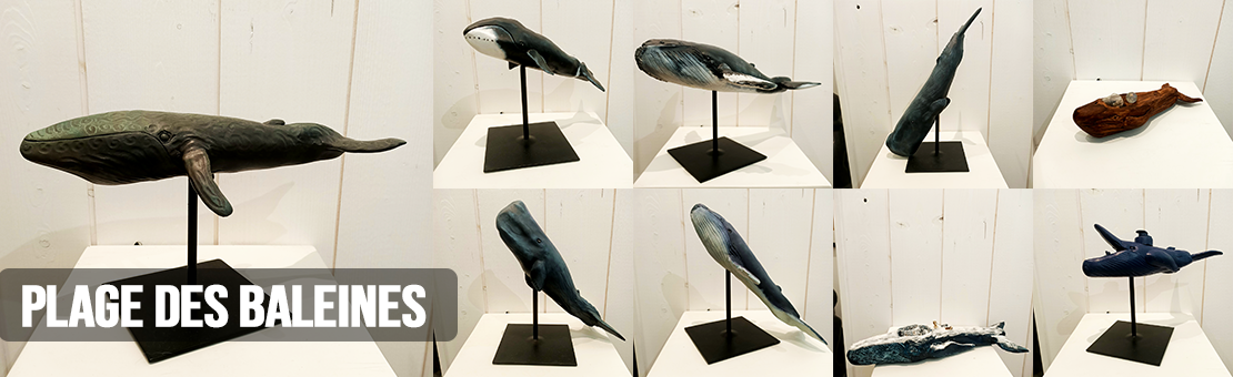Plage des Baleines - des nouvelles sculptures à la galerie